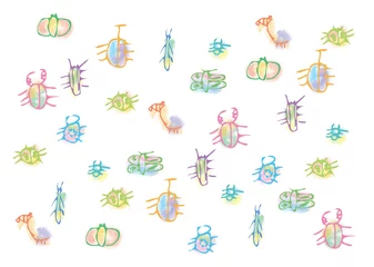 Lichtdoorlatende rolgordijnen zonder boren Eenhoorns Insect illustratiemateriaal getekend door een kind