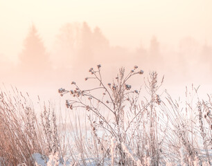A beautiful, misty winter sunrise in the country in pastel tones. Bright snowy landscape of Norther Europe.