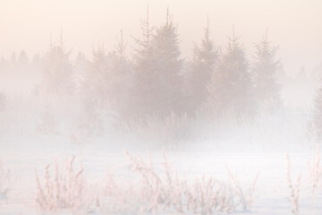 A beautiful, misty winter sunrise in the country in pastel tones. Bright snowy landscape of Norther Europe.