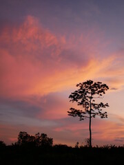 countryside view in the evening