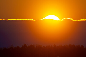 Obraz premium A beautiful winter landscape with rising sun in Northern Europe. Snowy scenery with golden light.