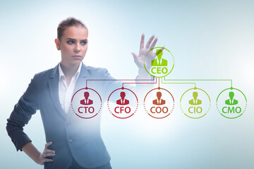 Businesswoman in the organisation chart concept