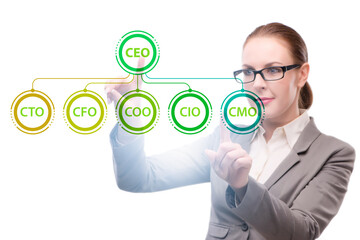 Businesswoman in the organisation chart concept