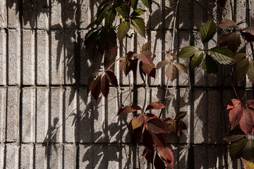 Brick wall texture, loft style, destruction of concrete and stone, antiquity corrosion, foundations of building floors, chips, cracks