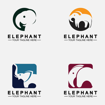 Set Elephant Logo Vector Illustrator Design Template