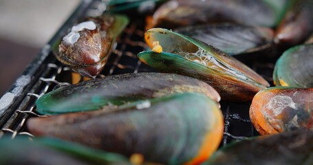 Macro of fresh juicy Green Shell mussels grilling on a hot charcoal stove with hot water bubbles, cooking seafood party	
