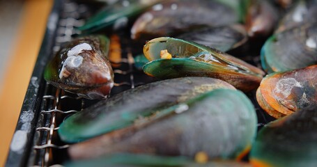 Macro of fresh juicy Green Shell mussels grilling on a hot charcoal stove with hot water bubbles, cooking seafood party	
