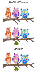 Cute owls on a branch. Find 10 differences. Educational game for children. Cartoon vector illustration