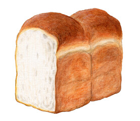 イギリスパン　水彩色鉛筆イラスト