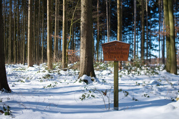 Höhenangabe im Stemweder Berg, Wandern durch den Naturpark Dümmer