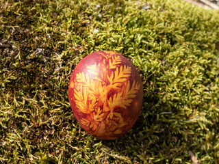 Macro shot of single Easter egg decorated, colored with natural plants and flowers and boiled in onions peels. Traditional way to create patterns of plants on brown egg in green moss