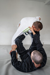 Two brazilian jiu jitsu bjj figters martial arts training male athlete practice technique or...