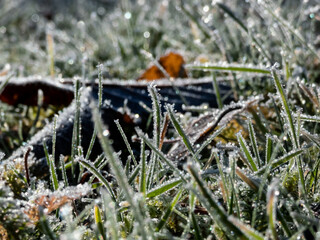 Beautiful, shiny green grass covered with big, white, ice crystals in the early cold winter morning. Ice on grass shining like diamonds in sunlight