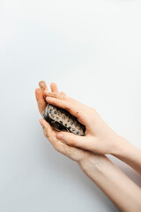 Coffee soap in the hands of a girl on a white background