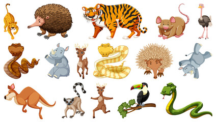 Fototapeta premium Set of different wild animals cartoon characters
