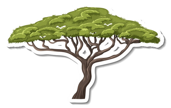 Isolated monkey pod tree in cartoon style
