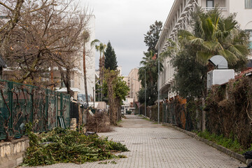 view of the tourist street in the winter season, with garbage and neglected plants