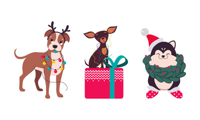Cute Dogs of Different Breed Tangled with Garland and Sitting on Gift Box Vector Set