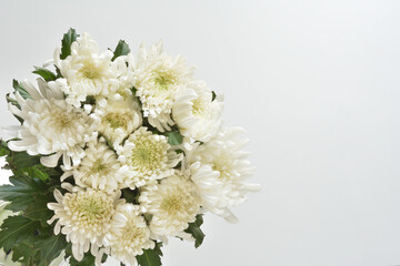 菊の花　