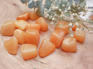 Orange aventurine crystal tumbled rock, semiprecious stone, on raw natural wood with leaves and...