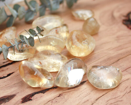 citrine crystal tumbled rock, semiprecious, semi-transparent, stone on raw natural wood with leaves and flowers babies breath