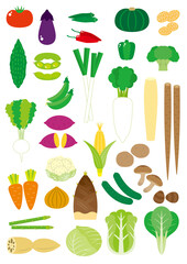野菜31種類