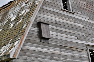 Bat house mounted on a weathered barn wall. 