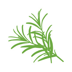 The silhouette of two rosemary sprigs folded together. A delicious and healthy seasoning, widely used in the preparation of a variety of dishes. Vector illustration isolated on a white background. 