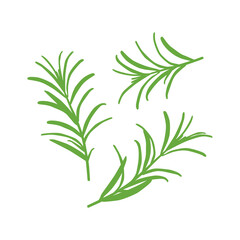 Silhouettes of three sprigs of rosemary. Black silhouette of chili pepper with flame. Seasoning for cooking a variety of dishes. Vector illustration isolated on a white background for design and web.