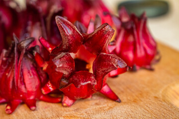 Roselle red subshrub plant (Hibiscus sabdariffa). Tropical flower, used to make infusion and juice