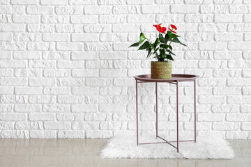 Anthurium flower on modern table near white brick wall