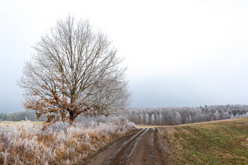 Winter landscape in Czech countryside.