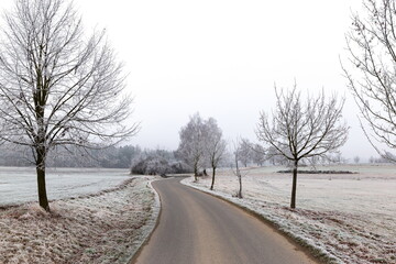 Winter countryside road, trees and pastures. Czechia
