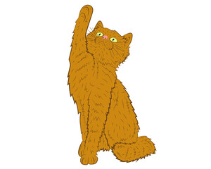 Realistic playing ginger cat. vector illustration