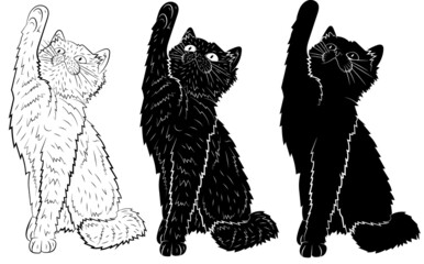 Set of Realistic of a playing cat. vector illustration