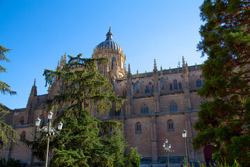 Fototapeta na wymiar Vista de catedral de Salamanca, fachadas y detalles de trabajo en piedra