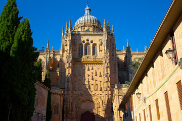 Vista de catedral de Salamanca, fachadas y detalles de trabajo en piedra