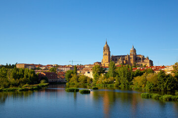 Fototapeta na wymiar vista de la ciudad de Salamanca en España con río en primer plano