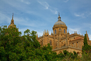 Fototapeta na wymiar Vista de catedral de Salamanca, fachadas y detalles de trabajo en piedra
