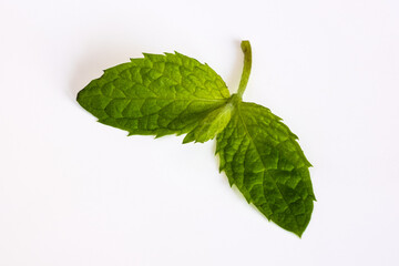 Peppermint leaves isolated on white background