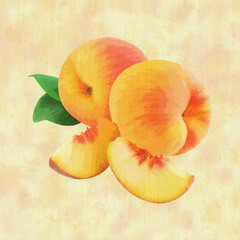 Ripe peaches with cutted slices hand drawn illustration