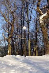 Trees with no leaves in Kadriorg park during winter time. Snow in the front. White street lantern. Tallinn, Estonia, Europe. January 2022