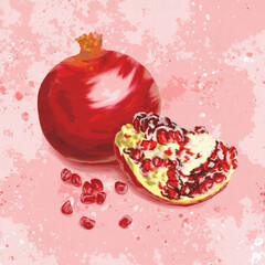 Red pomegranate hand drawn illustration
