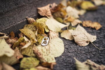 autumn leaves on the ground