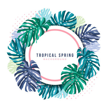 Tropical spring Background wit - Monstera Leaves around and circle banner with pink frame Vector Design