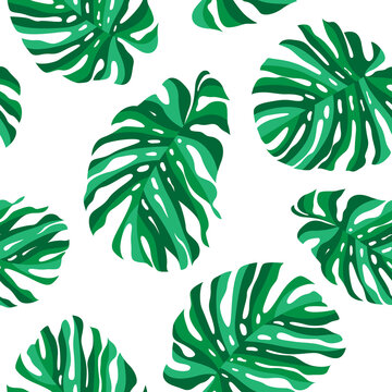 Tropical Green Monstera Leaves on White Background Seamless Pattern Vector Design