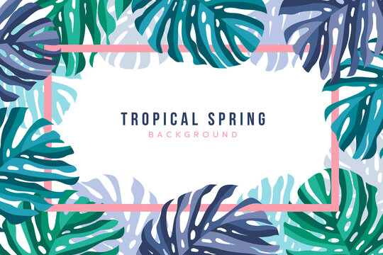 Tropical spring Background with Monstera Leaves around and pink frame Vector Design