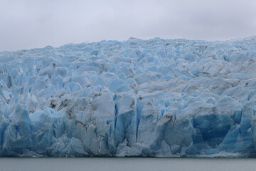 Close view of the west front of the Gray Glacier, Chile