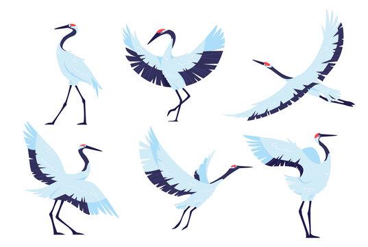Japanese red crowned crane bird simple elements collection.  Asian wildlife creature flat isolated set. Stork, egret, heron in trendy flat design.