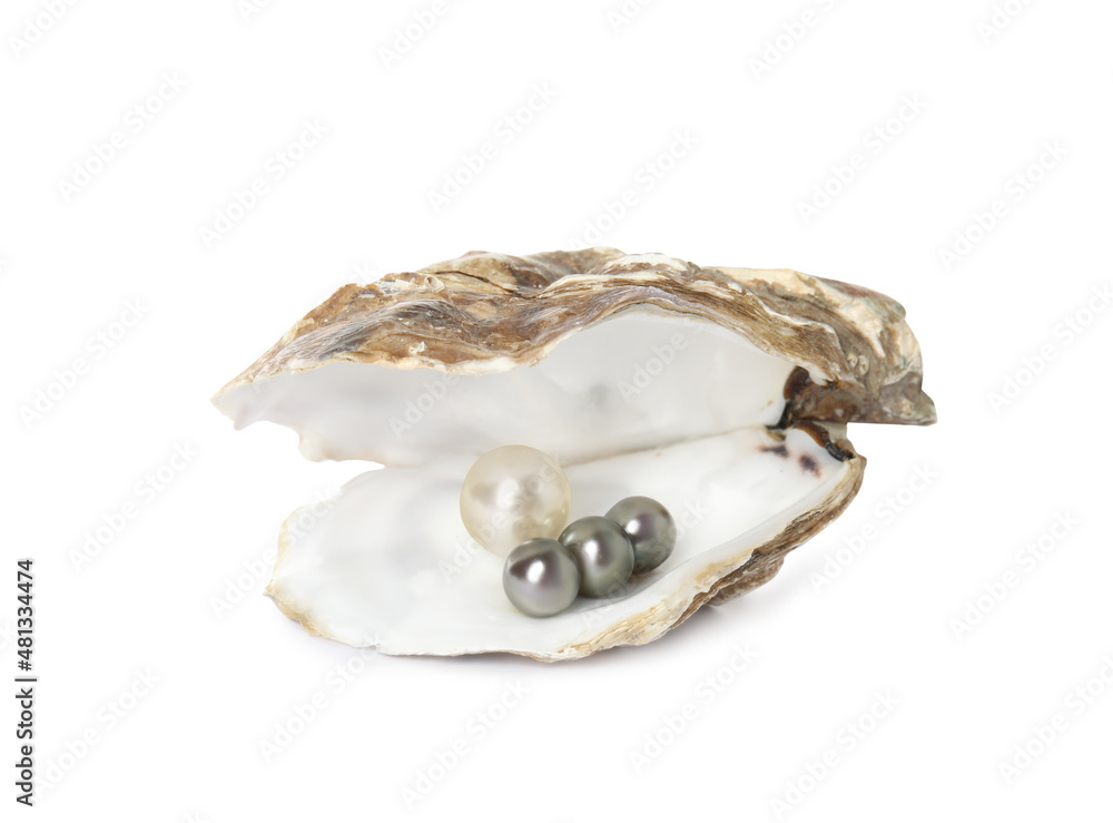 Wall mural Open oyster shell with different pearls on white background